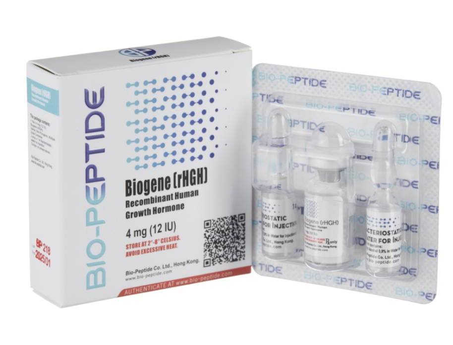 Captura de ecrã 2025-02-11, às 10.56.04